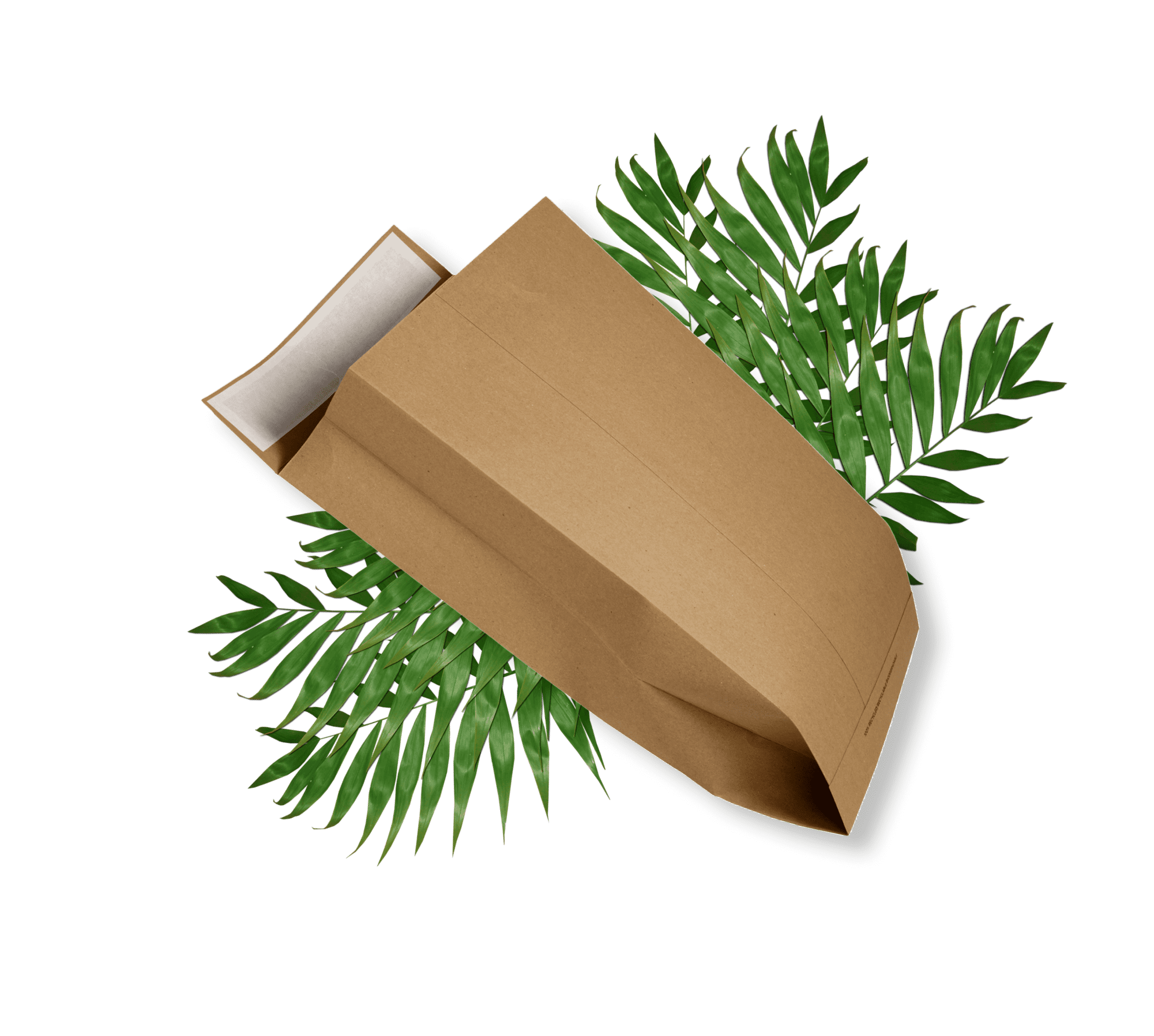 TerraBoard Eco-Friendly Expansion Envelopes